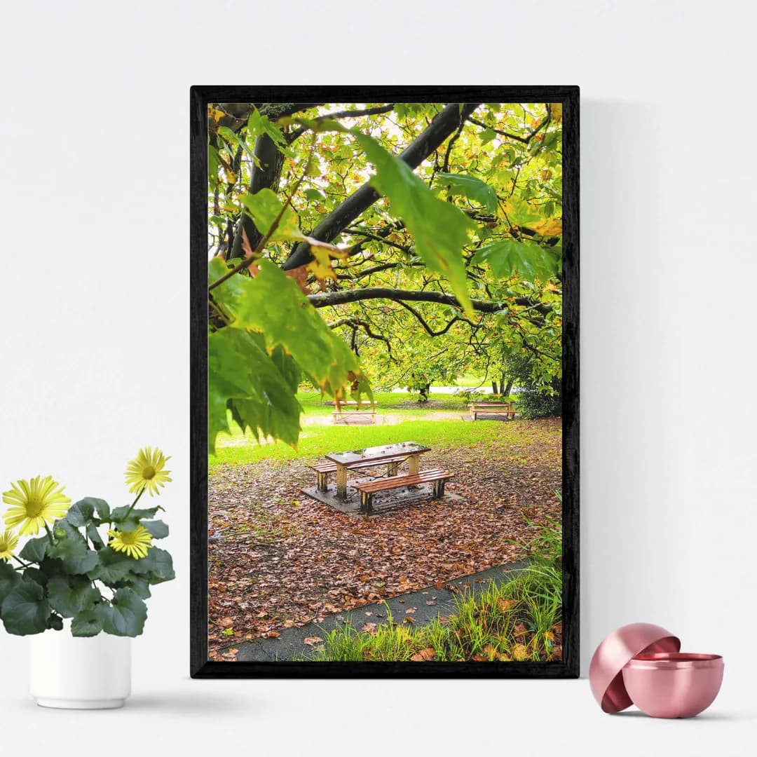Katoomba’s Autumn Charm framed room view